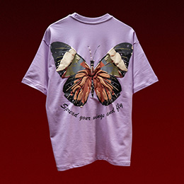 butterfly